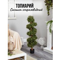 Искусственное растение Merry Bear Home Decor Самшит спиралевидный KM5312