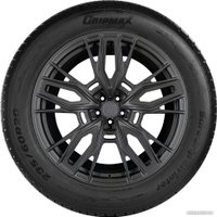 Зимние шины Gripmax SureGrip eWinter 245/45R17 99V