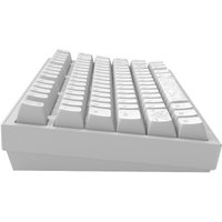 Клавиатура Dark Project ALU81A Terra Nostra White (g3ms Moonstone)