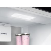 Холодильник Liebherr ICBNSd 5623 Plus BioFresh NoFrost