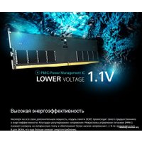 Оперативная память Silicon-Power 8ГБ DDR5 4800 МГц SP008GBLVU480G02RR