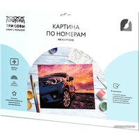 Картина по номерам Три совы Дрифт на закате КК_44055