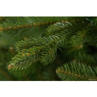 Ель GreenTerra Натурелли 2.2 метра