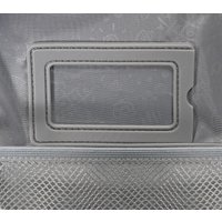 Школьный рюкзак Schoolformat Ergonomic + Wild Cat РЮКЖКРД-ВКТ