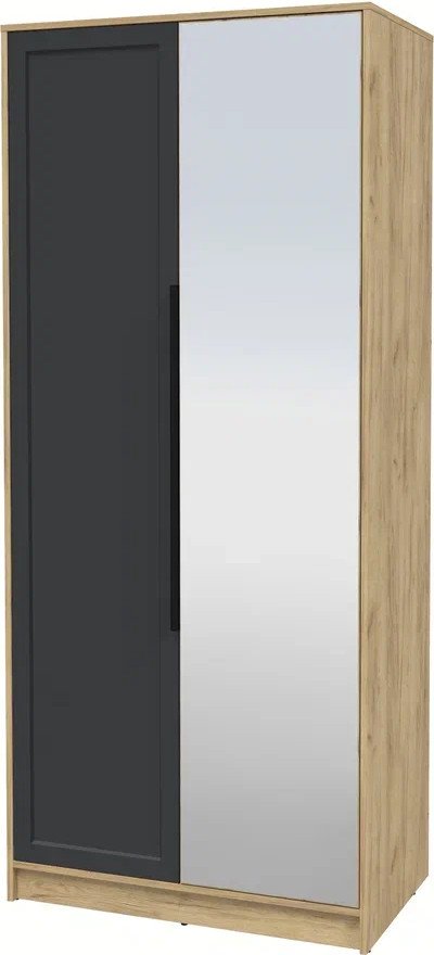 

Шкаф распашной Интерлиния Концепт Тренд КТ-Ш2(з) (дуб золотой/пепел)