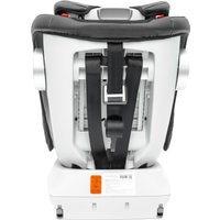 Детское автокресло Amarobaby Champion Isofix AMARO-2008CH-Gr (графит)