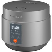 Мультиварка Garlyn MR-Solo 4 Pro