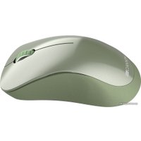 Мышь Canyon MW-11 (зеленый)