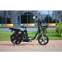 Электровелосипед Terax DVINA LITE NS011