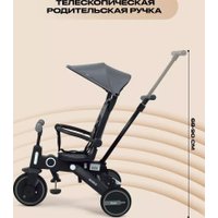 Детский велосипед Rant Birdie RB202 (серый)
