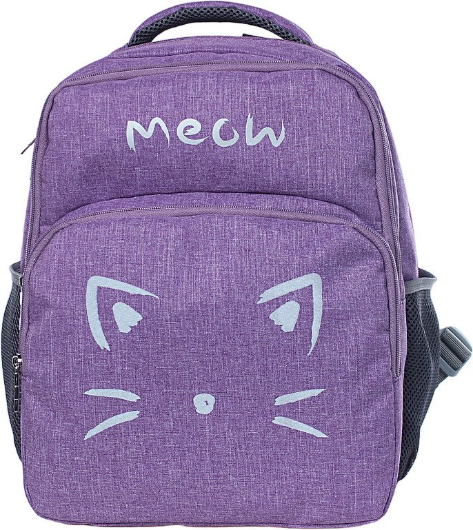 

Школьный рюкзак Galanteya 43322 23с409к45 (фиолетовый)