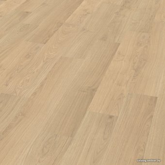 Ламинат EGGER BM Flooring Basic EBL039 Дуб Фалун