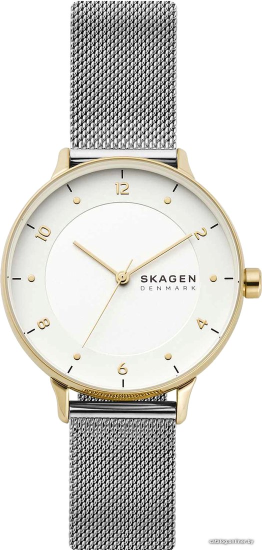 Наручные часы Skagen Riis SKW2912