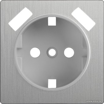 Накладка для розетки Werkel WL09-USB-CP (серебряный рифленый)