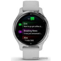 Умные часы Garmin Venu 2S (нержавеющая сталь/серый)