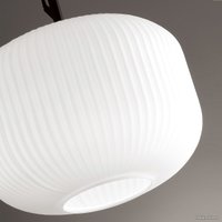 Подвесная люстра Odeon Light Roofi 4753/1