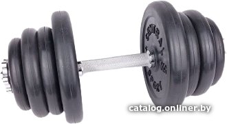 Central Sport 24.5 кг