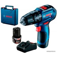 Ударная дрель-шуруповерт Bosch GSB 12V-30 Professional 06019G9100 (с 2-мя АКБ, кейс)