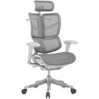 Офисное кресло Ergostyle Fly HFYM01-G (белый)