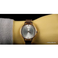 Наручные часы Skagen SKW2151