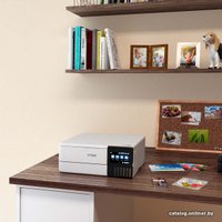 МФУ Epson L8160 (белый)