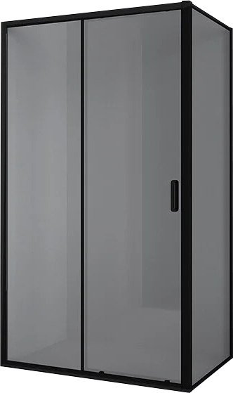 

Душевой уголок Ambassador Forsa 160x110x200 17022222ABB-110ABB