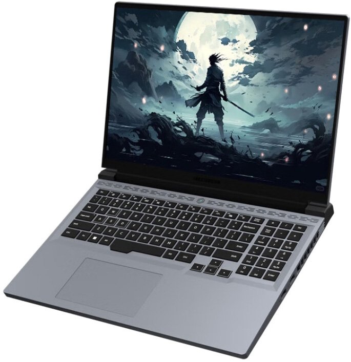 

Игровой ноутбук Mechrevo Jiaolong 16 Pro 747Q0