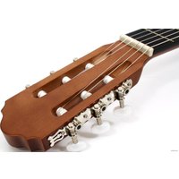 Акустическая гитара Kremona P650M