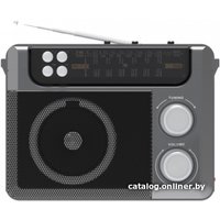 Радиоприемник Ritmix RPR-200 (серый)