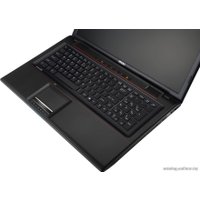 Игровой ноутбук MSI GP70 2PE-013RU Leopard