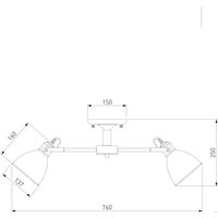 Припотолочная люстра Евросвет Denley 70112/8 (черный)