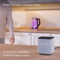 Умная колонка Яндекс Станция Миди (оранжевый)
