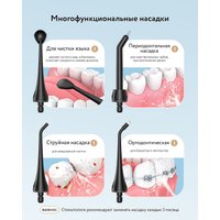Сменная насадка Fairywill для ирригатора 5020E (черный)