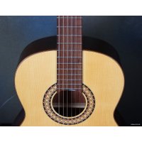 Акустическая гитара Camps M-1-S