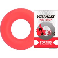 Эспандер Fortius H180701-30LR (30 кг, красный)