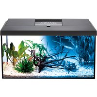 Аквариумный набор AquaEl Leddy Day&Night 60 (черный) в Гомеле