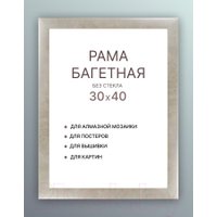 Фоторамка Декарт 30x40 8Л3079 (серебристый)