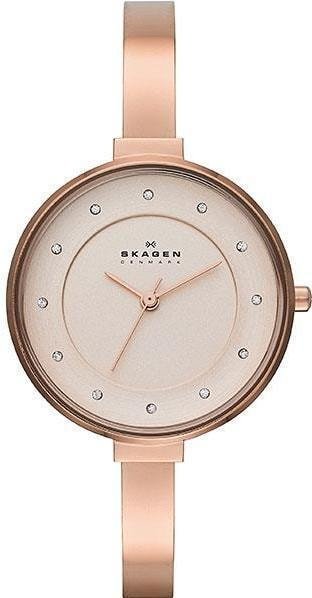 

Наручные часы Skagen SKW2230