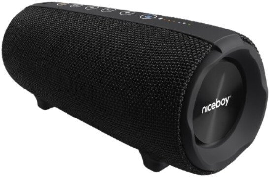 Беспроводная колонка Niceboy Titan 4