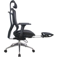 Офисное кресло Evolution Ergo Elite (черный)
