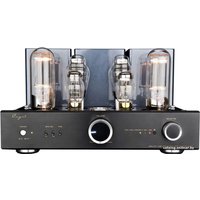 Интегральный усилитель Cayin CS-845A (черный)