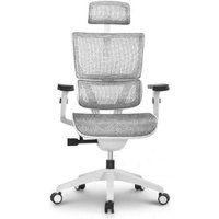 Офисное кресло Ergostyle Vision VIM01-W (белый)