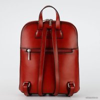 Городской рюкзак Francesco Molinary 513-13842-003-BRD