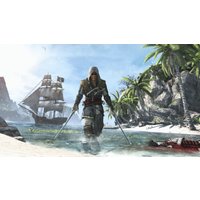  Хиты Playstation Assassin's Creed IV Black Flag для PlayStation 4