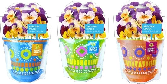 

Семена цветов Happy plant Анютины глазки