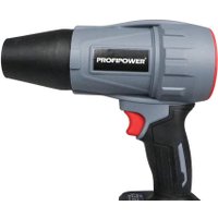  Profipower ProfiSet-2D20 (воздуходувка, цепная пила, 2 АКБ)