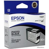 Картридж Epson C13T580100