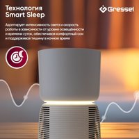 Очиститель воздуха Gressel GPF-1001