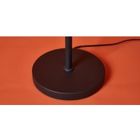 Торшер Freya Aqua FR5553FL-L20B