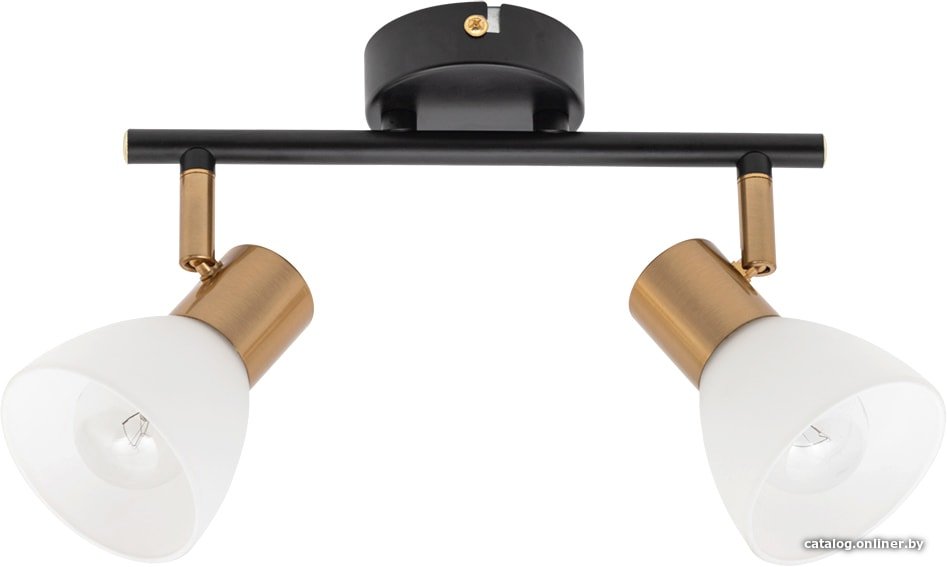 Спот Arte Lamp Falena A3117PL-2BK